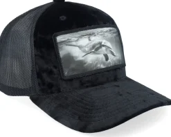 Dolphin Big Patch Velvet Black Trucker - Calza Pennello