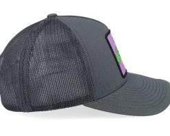 Donatello Box Grey/Black A-Frame Trucker - TMNT