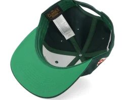 Donatello Face Dark Green Snapback - TMNT