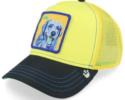 Donkey Trip White Trucker - Goorin Bros.