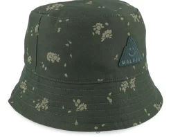 Feuerkogeim. Fir Daisy Bucket - Maloja