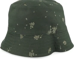 Feuerkogeim. Fir Daisy Bucket - Maloja