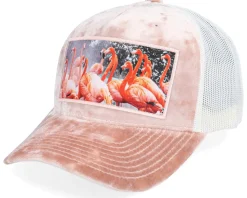 Flamingo Velvet Peach/Ivory A-frame Trucker - Calza Pennello