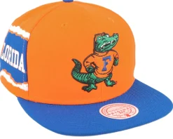 Florida Gators Jumbotron Ncaa Orange/Blue Snapback - Mitchell & Ness