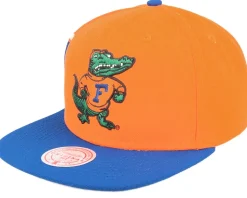 Florida Gators Jumbotron Ncaa Orange/Blue Snapback - Mitchell & Ness