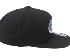 Florida Gators Logo Black Snapback - Park Fields