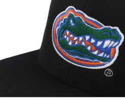 Florida Gators Logo Black Snapback - Park Fields