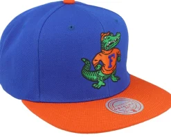 Florida Gators Team 2 Tone 2.0 Green/Orange Snapback - Mitchell & Ness