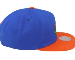 Florida Gators Team 2 Tone 2.0 Green/Orange Snapback - Mitchell & Ness