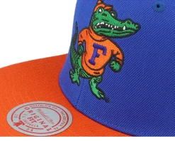 Florida Gators Team 2 Tone 2.0 Green/Orange Snapback - Mitchell & Ness