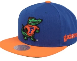 Florida Gators Team Origins Blue/Orange Snapback - Mitchell & Ness
