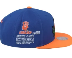 Florida Gators Team Origins Blue/Orange Snapback - Mitchell & Ness