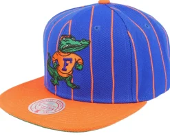Florida Gators Team Pin Blue/Orange Snapback - Mitchell & Ness