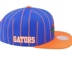 Florida Gators Team Pin Blue/Orange Snapback - Mitchell & Ness