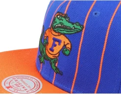 Florida Gators Team Pin Blue/Orange Snapback - Mitchell & Ness