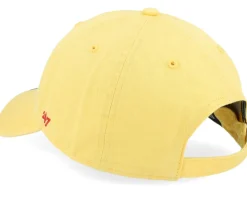Food Base Runner Icon 47 Clean Up Maize Dad Cap - 47 Brand