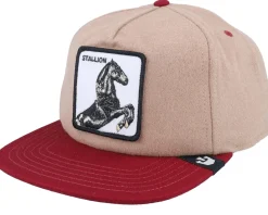 Free Rider Wildlife Tan Snapback - Goorin Bros.
