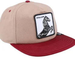 Free Rider Wildlife Tan Snapback - Goorin Bros.