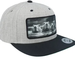 Gang Of Capybara Patch Heather Grey/Black Snapback - Calza Pennello