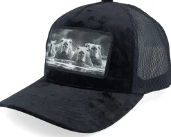 Gang Of Capybara Patch Velvet Black Trucker - Calza Pennello