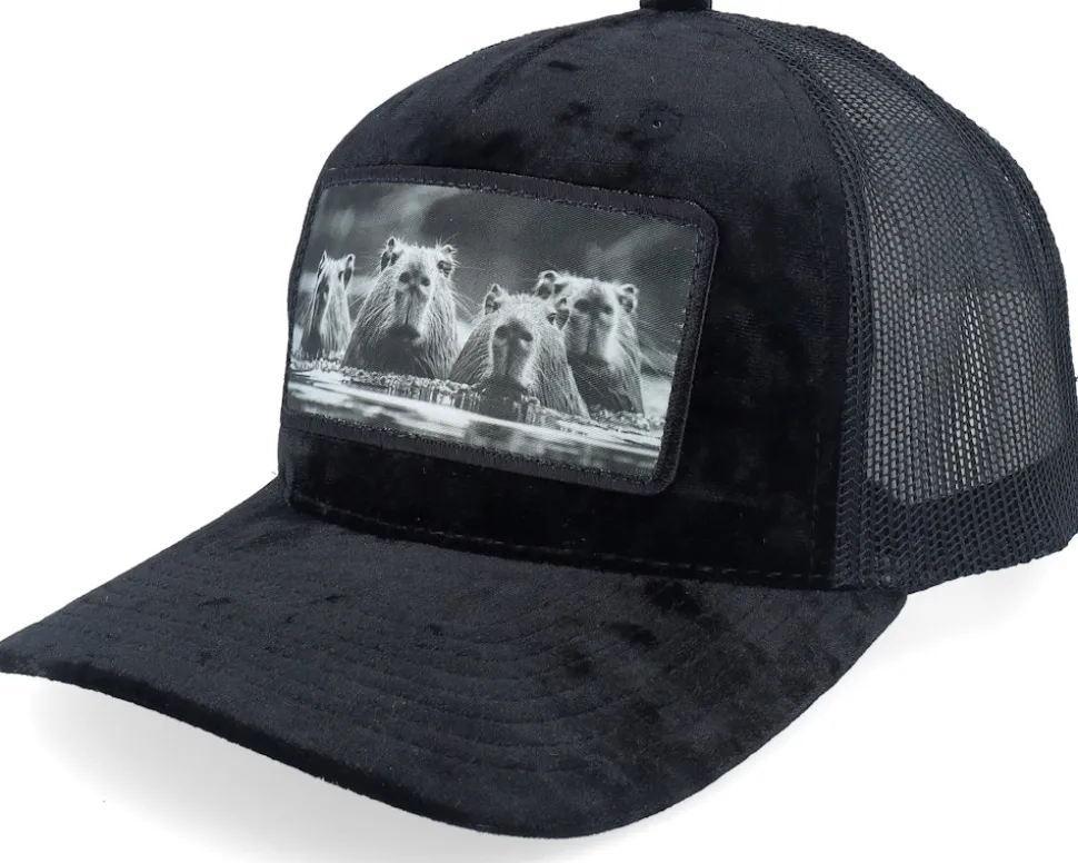 Gang Of Capybara Patch Velvet Black Trucker - Calza Pennello