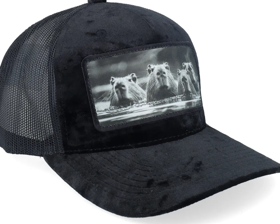 Gang Of Capybara Patch Velvet Black Trucker - Calza Pennello