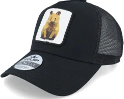 Geometry Monkey Patch Black Trucker - Iconic