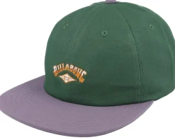 Global Arch Fern/Purple Strapback - Billabong