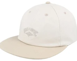 Global Arch Vintage Brown Strapback - Billabong