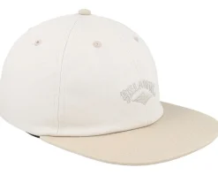Global Arch Vintage Brown Strapback - Billabong