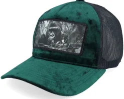 Gorilla Big Patch Velvet Green/Black Trucker - Calza Pennello