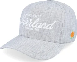 Great Norrland Grey Flexfit - Sqrtn