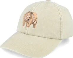 Grizzly Bear Embroidery Khaki Dad Cap - Wild Spirit