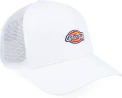 Hanston Cloud A-Frame Trucker - Dickies