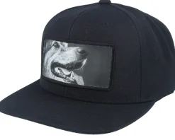 Happy Dog Big Patch Black Snapback - Calza Pennello