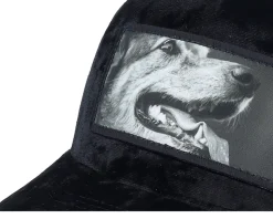 Happy Dog Big Patch Velvet Black Trucker - Calza Pennello