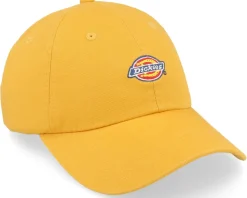 Hardwick Honey Gold Dad Cap - Dickies