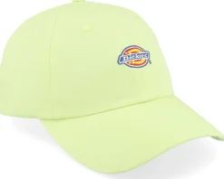 Hardwick Pale Green Dad Cap - Dickies