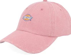 Hardwick Skyway Dad Cap - Dickies