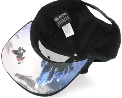 Harry Potter Black Snapback - Difuzed