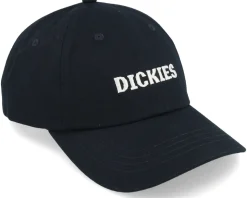 Hays Black Dad Cap - Dickies