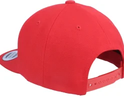 Kids Aliens Logo Red Snapback - Kiddo Cap