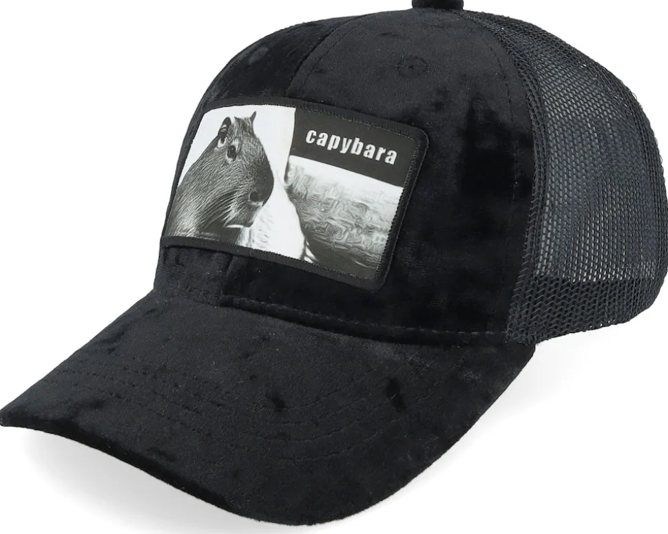 Kids Capybara Sofa Velvet White Trucker - Calza Pennello