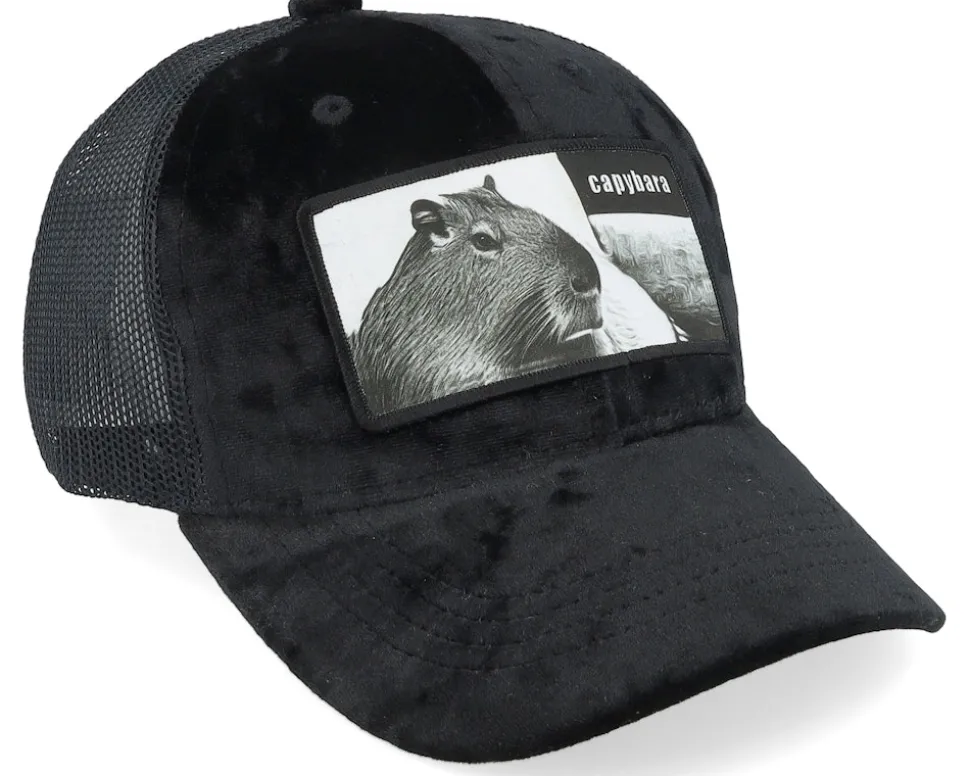 Kids Capybara Sofa Velvet Black Trucker - Calza Pennello