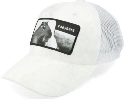 Kids Capybara Sofa Velvet Black Trucker - Calza Pennello