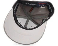 Kids Cute Tiger Chenille Grey Flexfit - Kiddo Cap