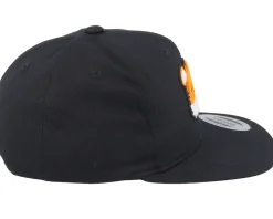 Kids Cute Tiger Chenille Black Snapback - Kiddo Cap