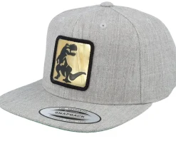Kids Dino Gold Patch Heather Grey Snapback - Kiddo Cap