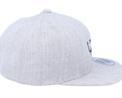 Kids Dino Heather Grey Snapback - Kiddo Cap