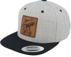 Kids Dinosaur T-rex Heather Grey/Black Snapback - Kiddo Cap